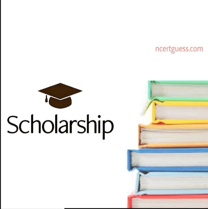Scholarship Ranker Scholar Aptitude Test RSAT 2020 Apply Online NCERTGUESS