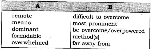 ncert-solutions-for-class-8-english-honeydew-the-summit-within-3