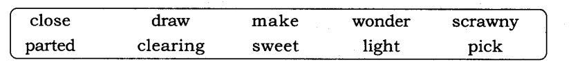 ncert-solutions-for-class-8-english-honeydew-this-is-jodys-fawn-1