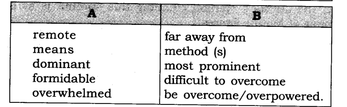 ncert-solutions-for-class-8-english-honeydew-the-summit-within-4