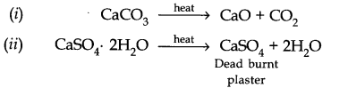 cbse-class-11th-chemistry-chapter-10-s-block-elements-9