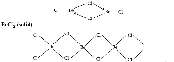cbse-class-11th-chemistry-chapter-10-s-block-elements-7