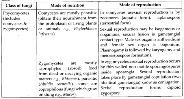 ncert-solutions-for-class-11-biology-biological-classificatin-1