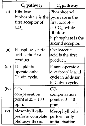 ncert-solutions-for-class-11-biology-photosynthesis-in-higher-plants-1