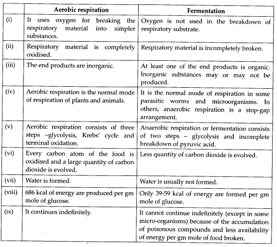 ncert-solutions-for-class-11-biology-respiration-in-plants-2-5