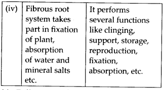 ncert-solutions-for-class-11-biology-morphology-of-flowering-plants-3