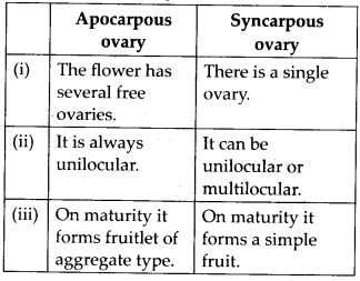ncert-solutions-for-class-11-biology-morphology-of-flowering-plants-4