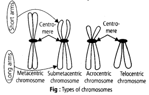 ncert-solutions-for-class-11-biology-cell-the-unit-of-life-5