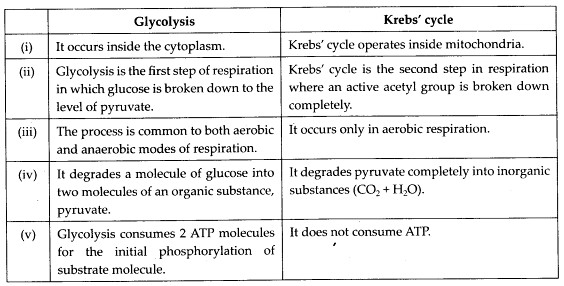 ncert-solutions-for-class-11-biology-respiration-in-plants-2-3