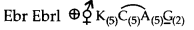 ncert-solutions-for-class-11-biology-morphology-of-flowering-plants-9
