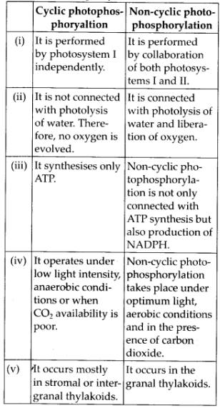 ncert-solutions-for-class-11-biology-photosynthesis-in-higher-plants-3