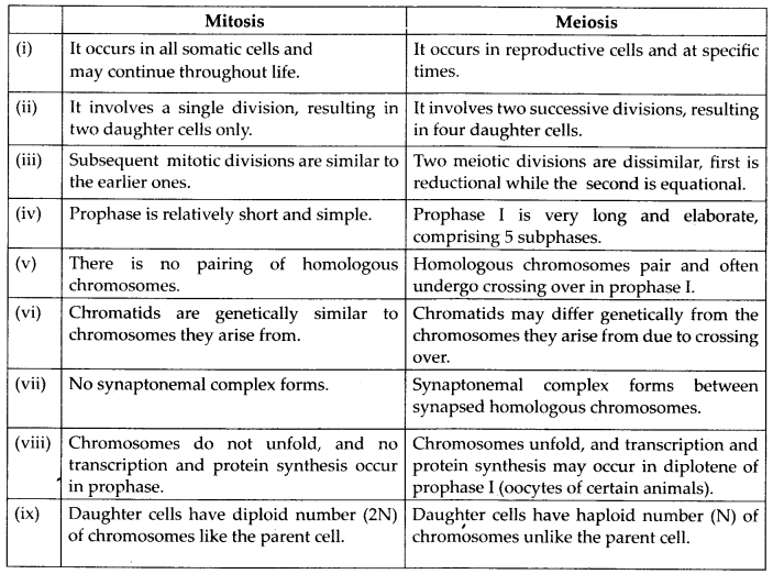 NCERT Solutions For Class 11 Biology Cell Cycle and Cell Division ...