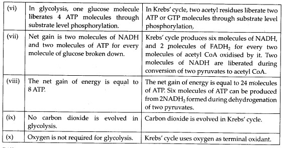 ncert-solutions-for-class-11-biology-respiration-in-plants-2-4