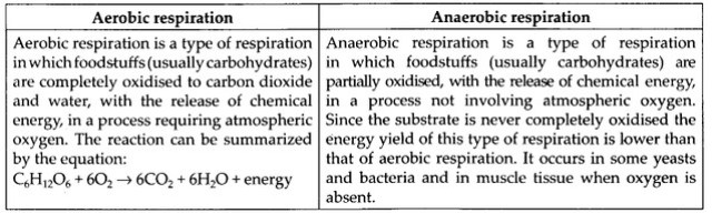 ncert-solutions-for-class-11-biology-respiration-in-plants-2-7