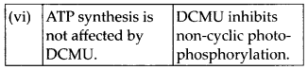 ncert-solutions-for-class-11-biology-photosynthesis-in-higher-plants-4
