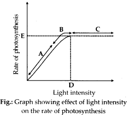 ncert-solutions-for-class-11-biology-photosynthesis-in-higher-plants-6