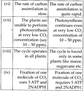 ncert-solutions-for-class-11-biology-photosynthesis-in-higher-plants-2