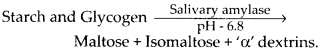 ncert-solutions-for-class-11-biology-digestion-and-absorption-6