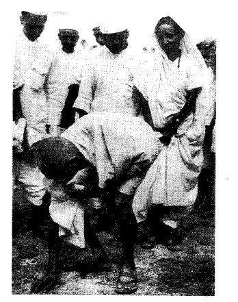 ncert-solutions-for-class-8-history-social-science-the-changing-world-of-visual-arts-2