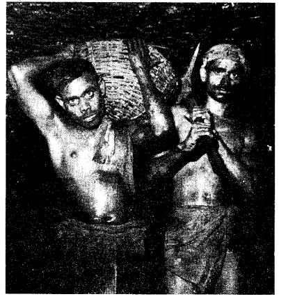 ncert-solutions-for-class-8-history-social-science-tribals-dikus-and-the-vision-of-a-golden-age-3