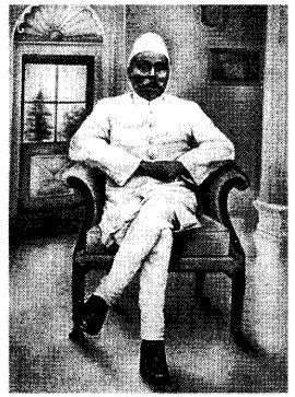 ncert-solutions-for-class-8-history-social-science-the-changing-world-of-visual-arts-4