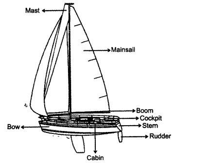 ncert-solutions-for-class-11-english-hornbill-were-not-afraid-to-die-if-we-can-all-be-together-4