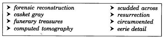 ncert-solutions-for-class-11-english-hornbill-discovering-tut-the-saga-continues-3