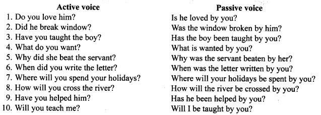 voice change questions for class 10