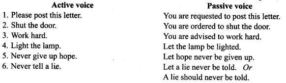 active passive exercise for class 10