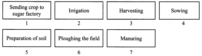 ncert-solutions-for-class-8-science-crop-production-and-management-1