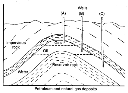 ncert-solutions-for-class-8-materials-coal-and-petroleum-1
