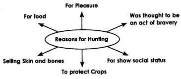 NCERT Solutions for Class 10 English Literature Chapter 2 Mrs. Packletide’s Tiger 1