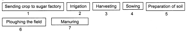 Crop Production and Management Class 8 Science NCERT Textbook Questions Q10