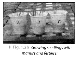 Crop Production and Management Class 8 Science NCERT Textbook Questions A 2.1