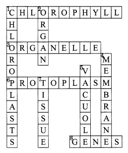 Cell Structure and Functions Class 8 Science NCERT Textbook Questions Q10
