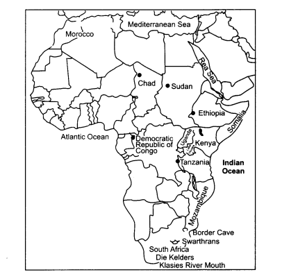 NCERT Solutions for Class 11 History 6