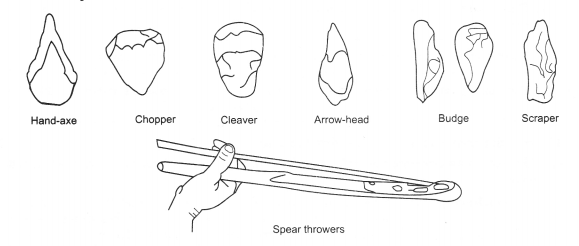 NCERT Solutions for Class 11 History 5