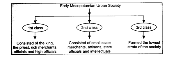 NCERT Solutions for Class 11 History Chapter 2 Writing and City Life 4